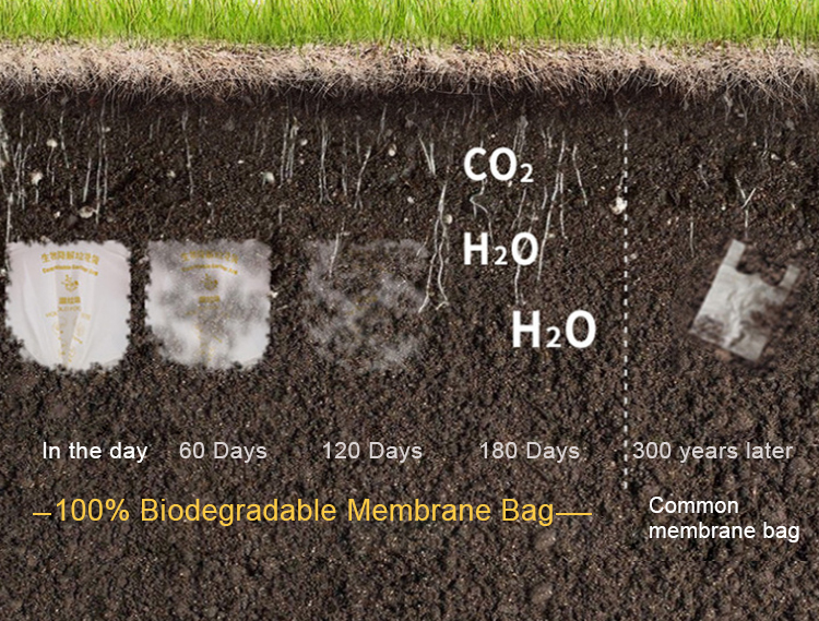 Particelle microplastiche creano la “Spada di Damocle”